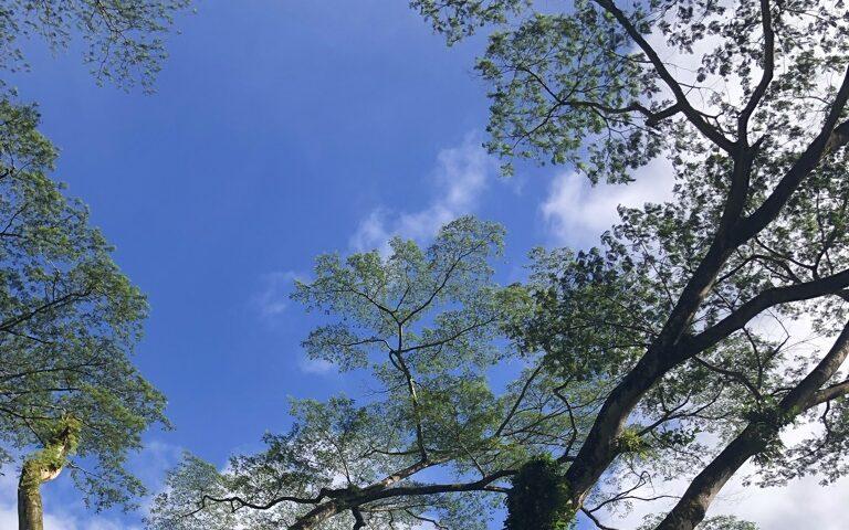 マノア・フォールズの青い空